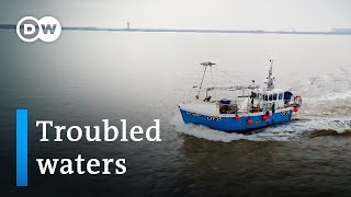 Brexit and British fishermen  DW Documentary [upl. by Eisyak]