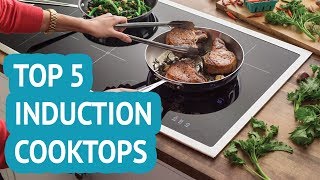 Five Best Induction Cooktops  2017  Efficient Elegant Versatile amp Responsive Cooking Option [upl. by Melba]