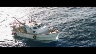 47 Meters Down  Hung Thần Đại Dương  Trailer [upl. by Vaclav104]