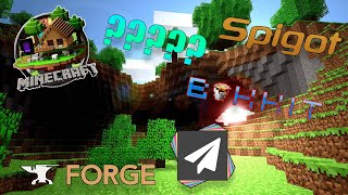 Minecraft 1171 Servers Vanilla Bukkit Spigot Paper Forge Fabric Whats The Difference [upl. by Ydasahc]