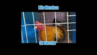 Nito Mendoza  Sweater Brood Fowl shorts shortsvideo [upl. by Rizzi]