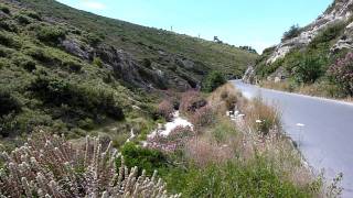 30 seconds Samos road through canyon between Chora and Mytilini [upl. by Josie]