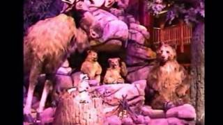 Great Wolf Lodge  Animated Show  Sally Dark Rides [upl. by Marjorie194]