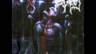 Dying Fetus  Grotesque Impalement With Lyrics [upl. by Mikel776]