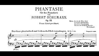 Schumann Fantasie in C Op17 Andsnes [upl. by Linders]