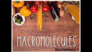 Bio 1 lec 3  Macromolecules carb amp proteins [upl. by Cristen838]