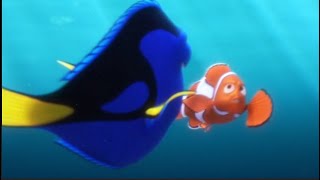 The SHOCKING Truth About Finding DORY [upl. by Betti101]