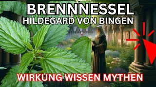 Brennnessel Wirkung nach Hildegard von Bingen 🌞 Urtica 💚 [upl. by Cotsen875]