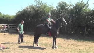 Confidence exercises for horse riding and carriage driving  spooking and nervous horse training [upl. by Anitsirhcairam139]