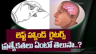 మీరు లెఫ్ట్ హ్యాండర్స్ అయితే ఈ వీడియో మీకోసమే ll facts about left handers ll facts in telugu ll R2R [upl. by Akcire]