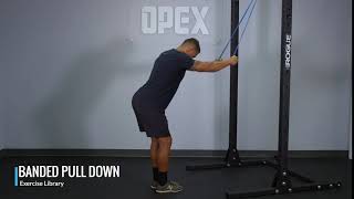 Banded Pulldown  OPEX Exercise Library [upl. by Nesyaj537]