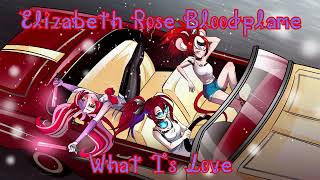 What Is Love by Haddaway  Elizabeth Rose Bloodflame Karaoke [upl. by Anaek]