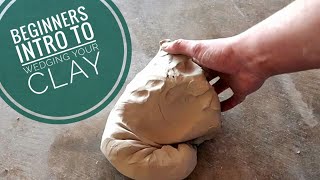 Beginners Intro to Wedging your Clay [upl. by Compte]