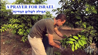 A Prayer for Israel [upl. by Naujej]