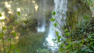 Scheidegger Wasserfälle Zoo [upl. by Zelde]