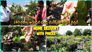 140 Rare and Exotic Fruit Plants in One Nursery  Best Nursery in Hyderabad [upl. by Wescott]