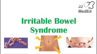 Irritable Bowel Syndrome IBS Causes Symptoms Bristol Stool Chart Types and Treatment [upl. by Mohsen]