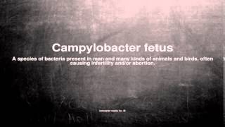 Medical vocabulary What does Campylobacter fetus mean [upl. by Kirre859]