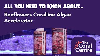 All You Need To Know About Reeflowers Coralline Algae Accelerator [upl. by Geer]