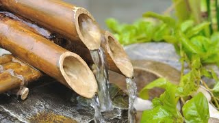 Cómo hacer una FUENTE japonesa de bambú para el JARDÍN 🌲 ¡PASO a PASO 💧Bricomanía [upl. by Kariv554]