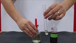 QA Lab Practical – Oxidising amp Reducing Agents – Test for Reducing Agent with KMnO4 [upl. by Aseeral]