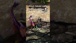 Your never safe from raptors in Ark survival evolved ark [upl. by Avir803]