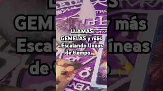 LLAMAS GEMELAS y más subiendo líneas de tiempo [upl. by Maggio]