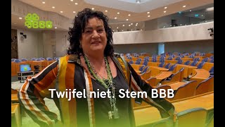 Twijfel niet Kies BBB Kies voor gezond verstand [upl. by Tad95]