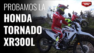 Opinión Honda Tornado XR300L [upl. by Godewyn]