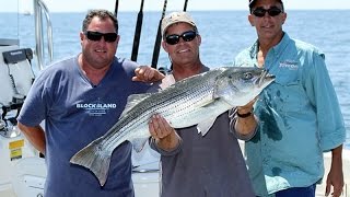 Striped Bass Fishing  Montauk NY  Wireline Chunking [upl. by Dehnel74]