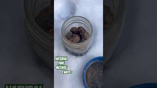 Natural Pine Resin Incense Easy DIY Methods  shorts nature [upl. by Nauht740]