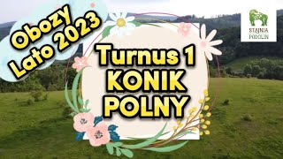 Obozy lato 2023  TURNUS 1 KONIK POLNY [upl. by Stoeber]