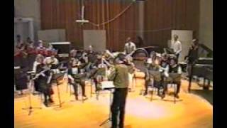 Ommadawn  Auckland Music School 1994  Part 2 [upl. by Stucker]