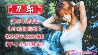 刀郎《西海情歌》《冲动的惩罚》《披着羊皮的狼》等 [upl. by Afatsuom]