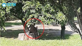 Foto Viral de la Aparición de Jesús a un Policia en Colombia [upl. by Egerton]