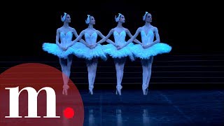 Swan Lake Tchaikovsky  Dance of the Little Swans [upl. by Ellirehs]