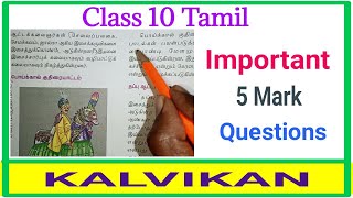 Class 10 Tamil Important 5 Mark Questions  Kalvikan [upl. by Creigh]