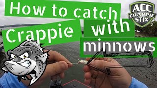 How to catch crappie with minnows  how to rig live bait [upl. by Sirrap]