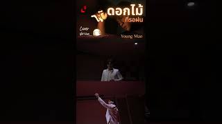 ดอกไม้ที่รอฝนSpring cover versionYoungMao [upl. by Demb]