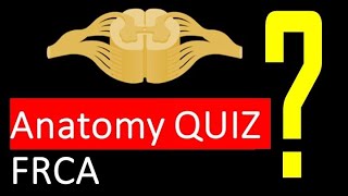 DIFFICULT Anatomy Question FRCA PRIMARY [upl. by Serra]