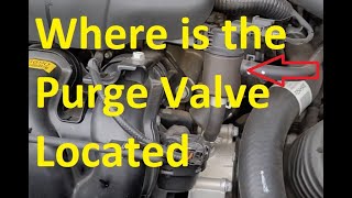 Where is the Purge Valve Located How To Locate the Evap Purge Valve [upl. by Eisenberg]