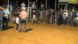 Jaripeo y Niños montando a los Borregos [upl. by Scott364]