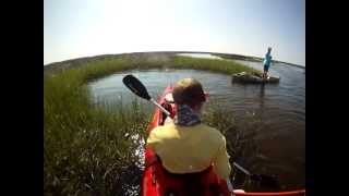 Kayak Fishing St Marks Florida  6212 [upl. by Heintz579]