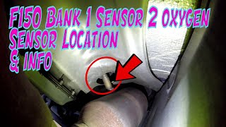 Ford F150 Bank 1 Sensor 2 Oxygen Sensor Location amp Function Explained 🚗💨 [upl. by Demakis]