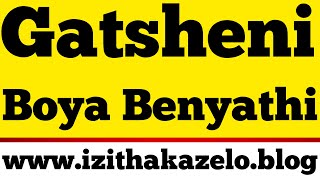 Gatsheni Clan Praisesâ¤ï¸Izithakazelo zakwa Gatsheni [upl. by Ecnal]