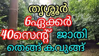 കുറഞ്ഞ വിലയുടെ സ്ഥലം 640ഏക്കർ ജാതി പറമ്പ്  low budget land in Thrissur [upl. by Anitnahs]