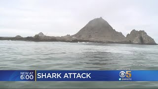 Man Rescued After Getting Bitten By Shark Near Farallon Islands [upl. by Curson577]