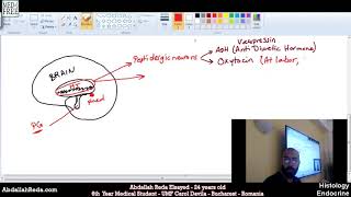 الهرمونات الخاصة بالغدة النخامية Pituitary hormones part 1  عبد الله رضا MD  Rocademia روكاديميا [upl. by Imogen699]