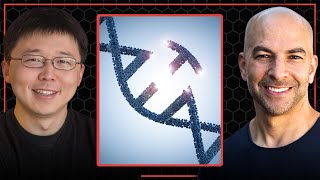 How CRISPR revolutionized the field of gene editing  Peter Attia and Feng Zhang [upl. by Ailhad]