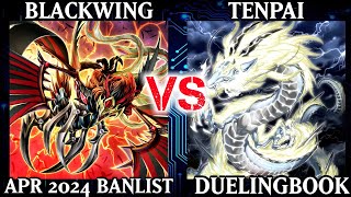 Blackwing vs Tenpai  Dueling Book [upl. by Eelegna58]